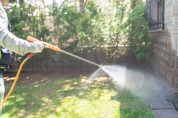 Best Organic or Eco-Friendly Pest Control  in Martinez, CA